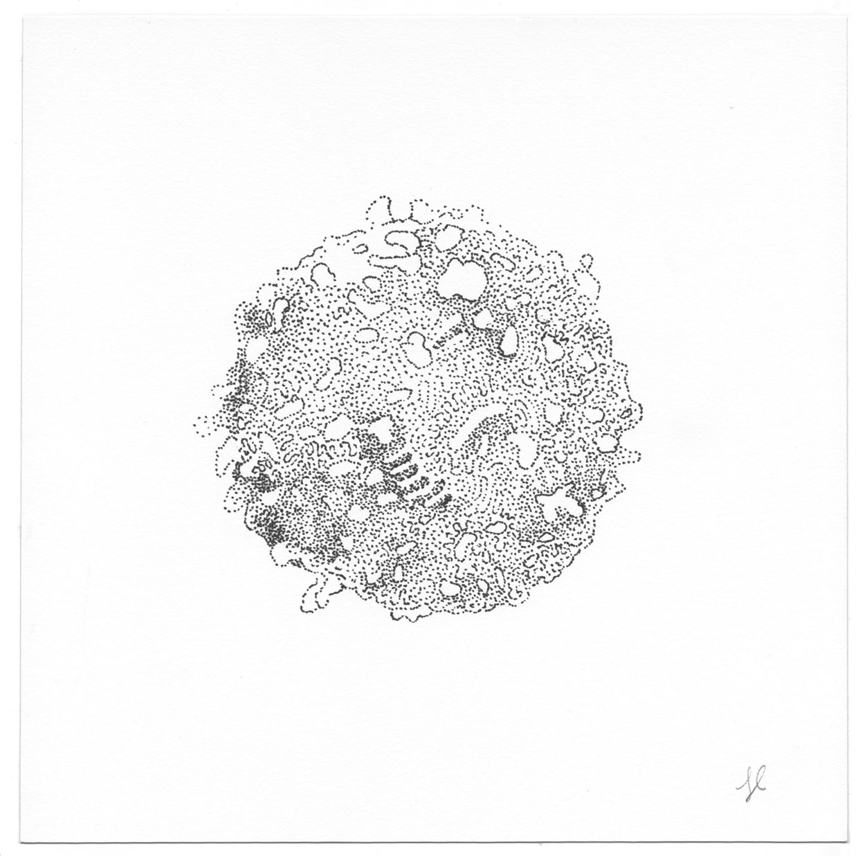 Scan-11-LR.jpg