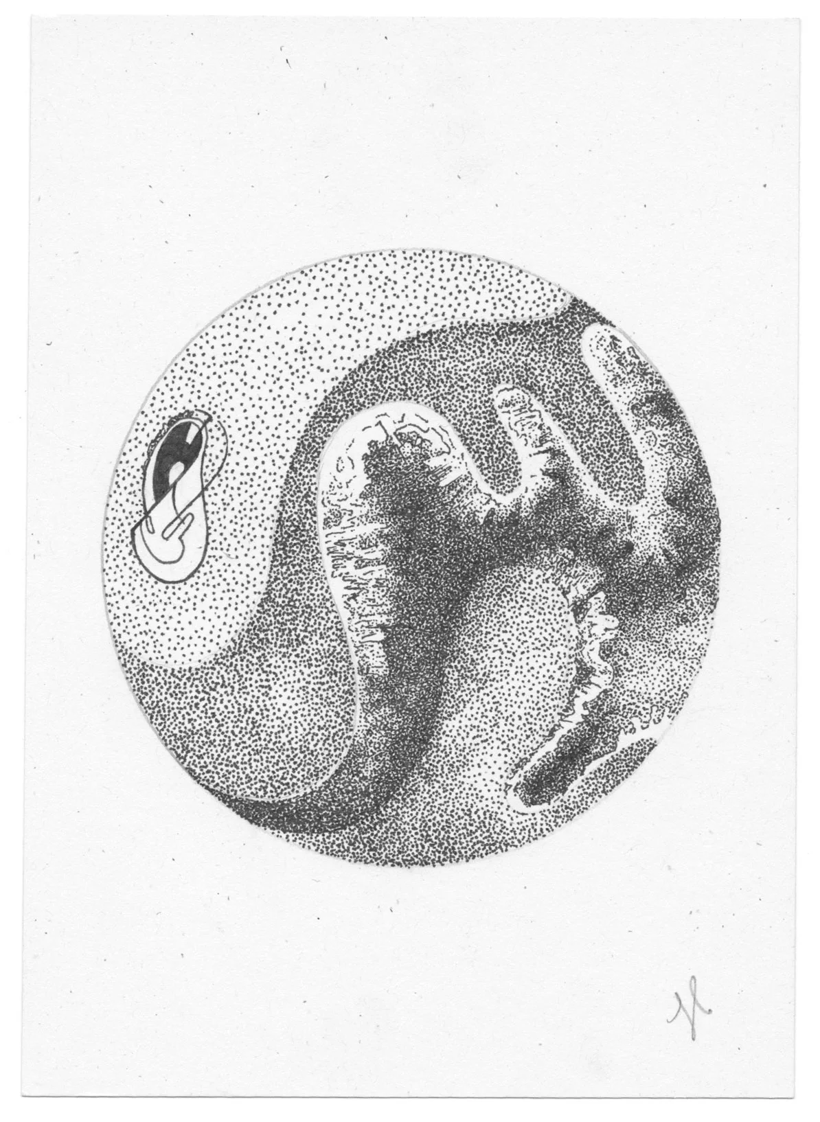 #5 (Orb Series), Original Ink Drawing