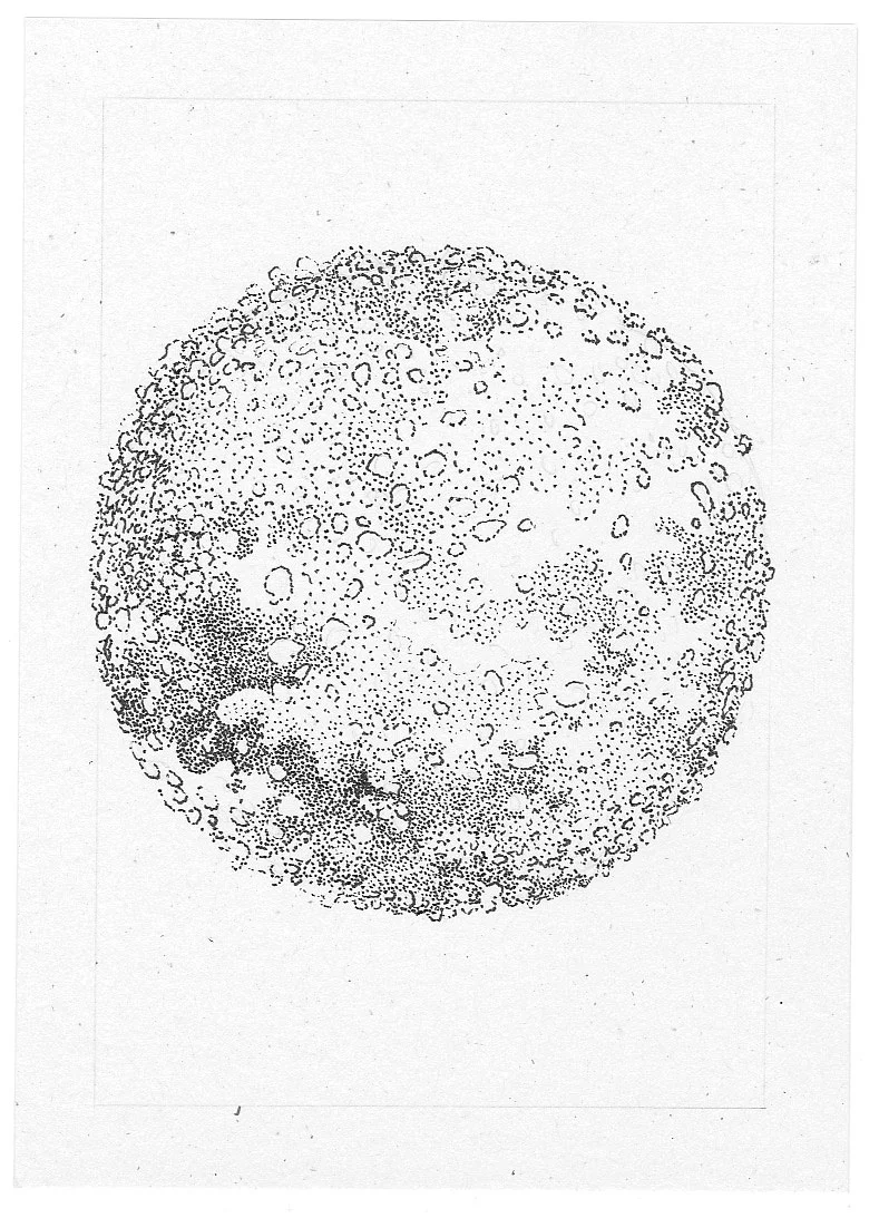Geranium (Cell Series), Original Ink Drawing