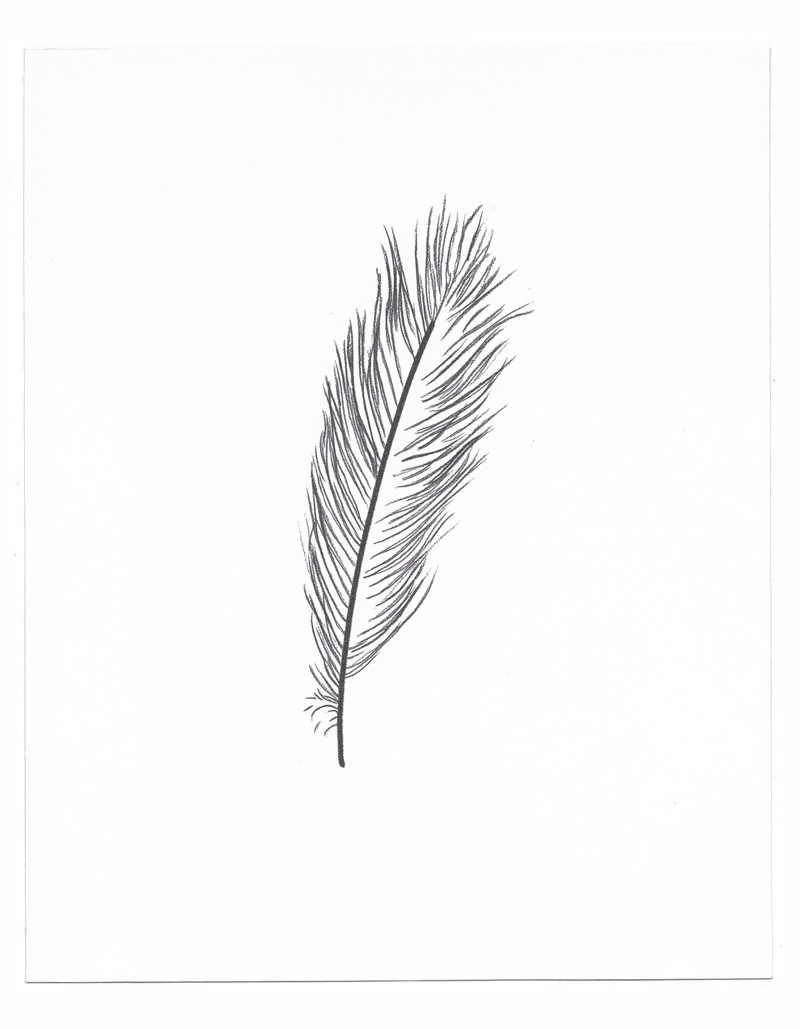 Feather — J. Edmiston