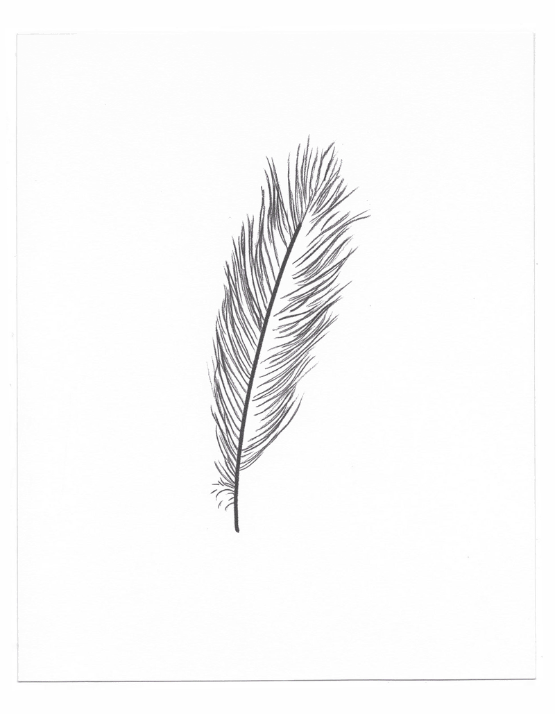 Feather.gif