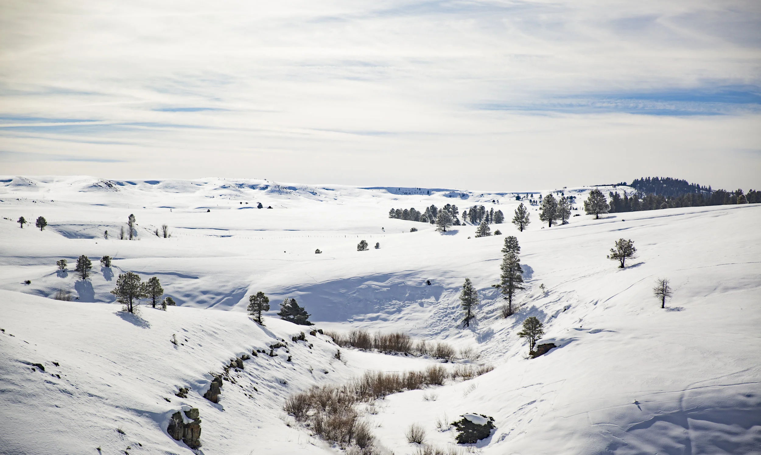 20160216-PGI-Colorado-66.jpg