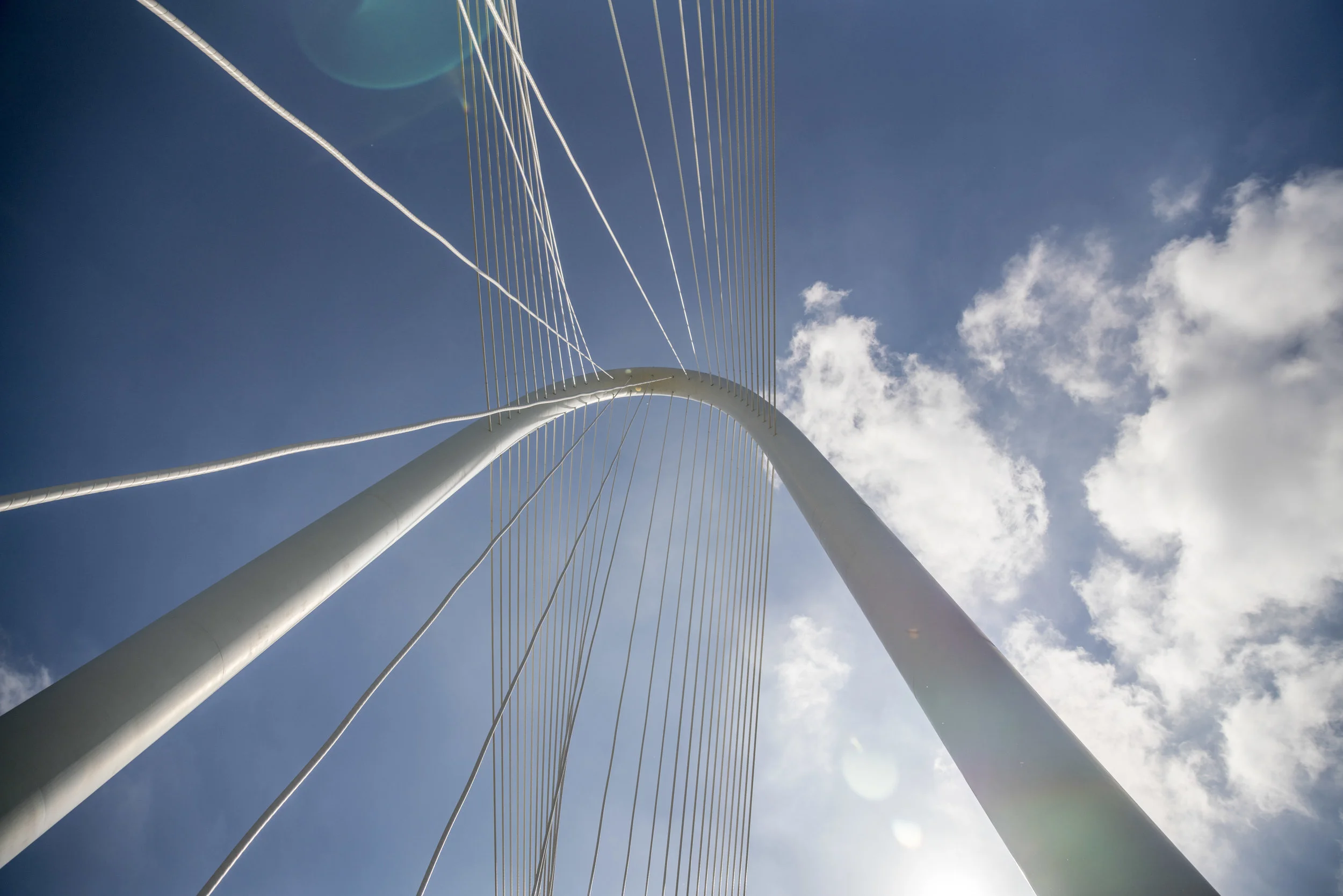 Image Library Collection 01.jpg