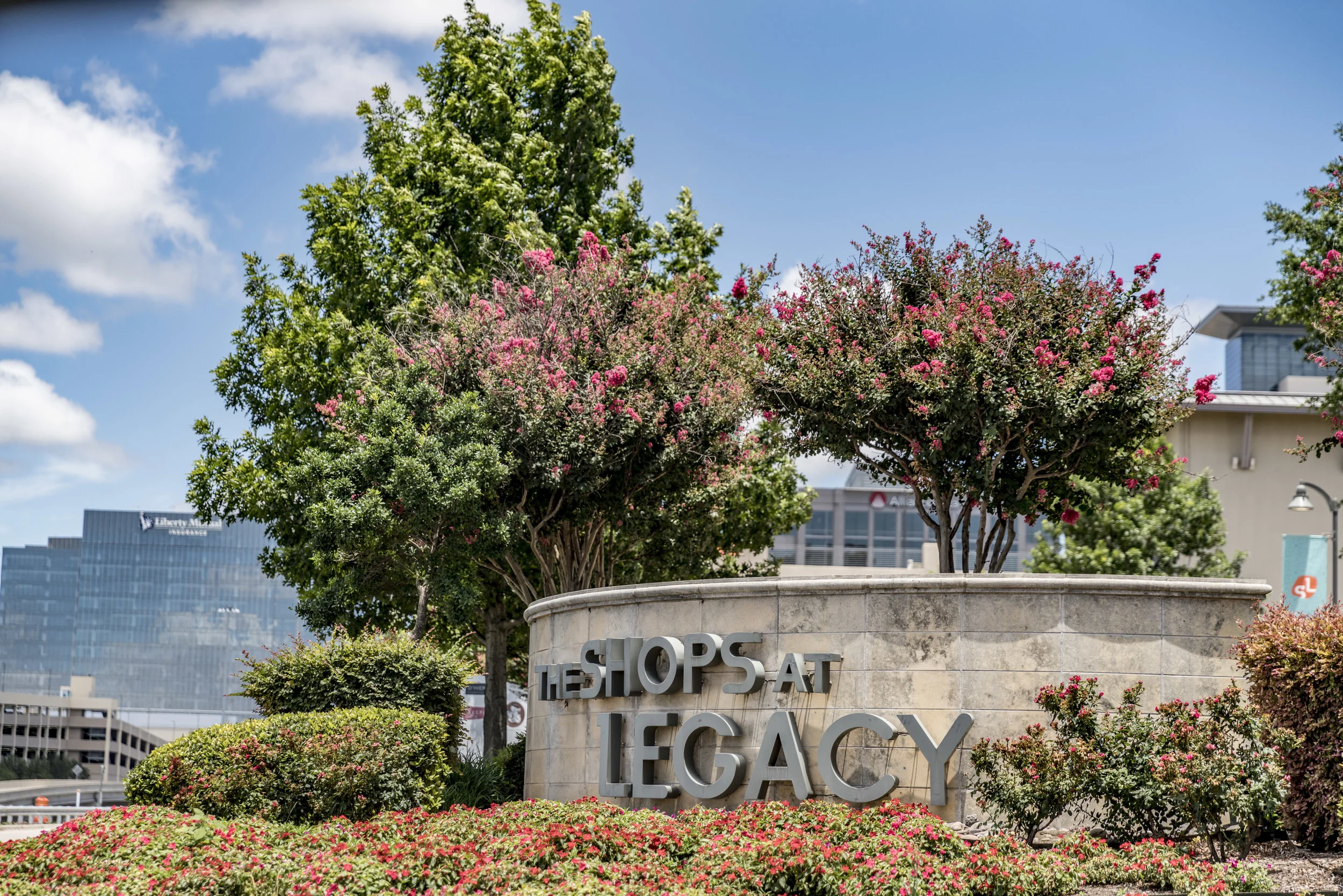 Image Library Collection 10.jpg