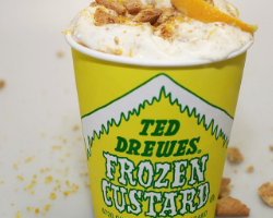 Ted Drewe's Frozen Custard, Chippewa Street