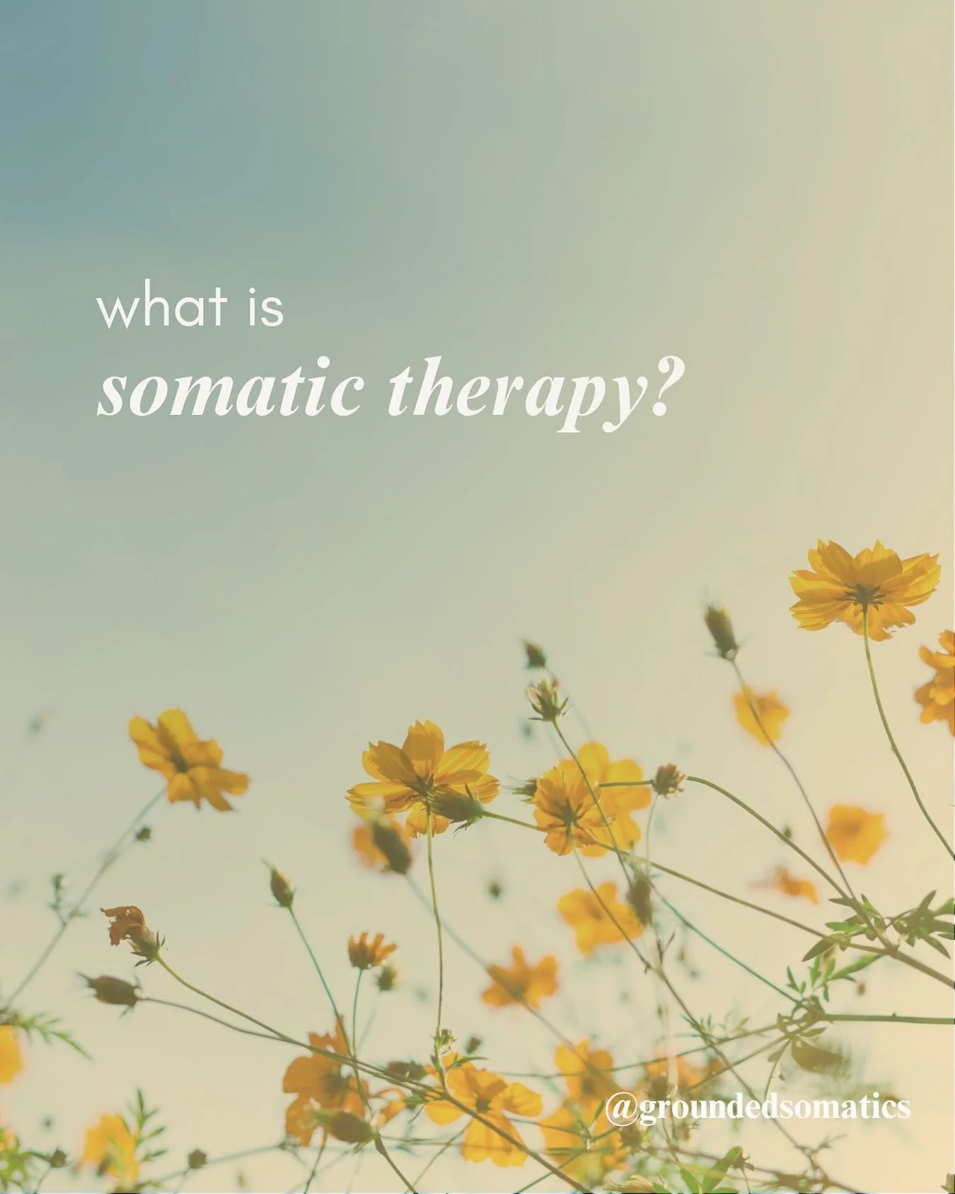Somatic therapy is a unique approach that distinguishes itself from traditional talk therapies by incorporating the information residing in your body, alongside your thoughts and feelings. Many of us were raised to undervalue, ignore, or override the