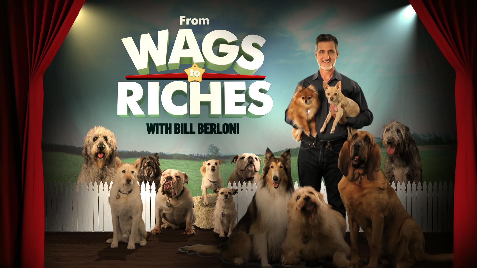 WAGS TO RICHES<strong>Discovery Family</strong><a href=/wags-to-riches>VIEW</a>