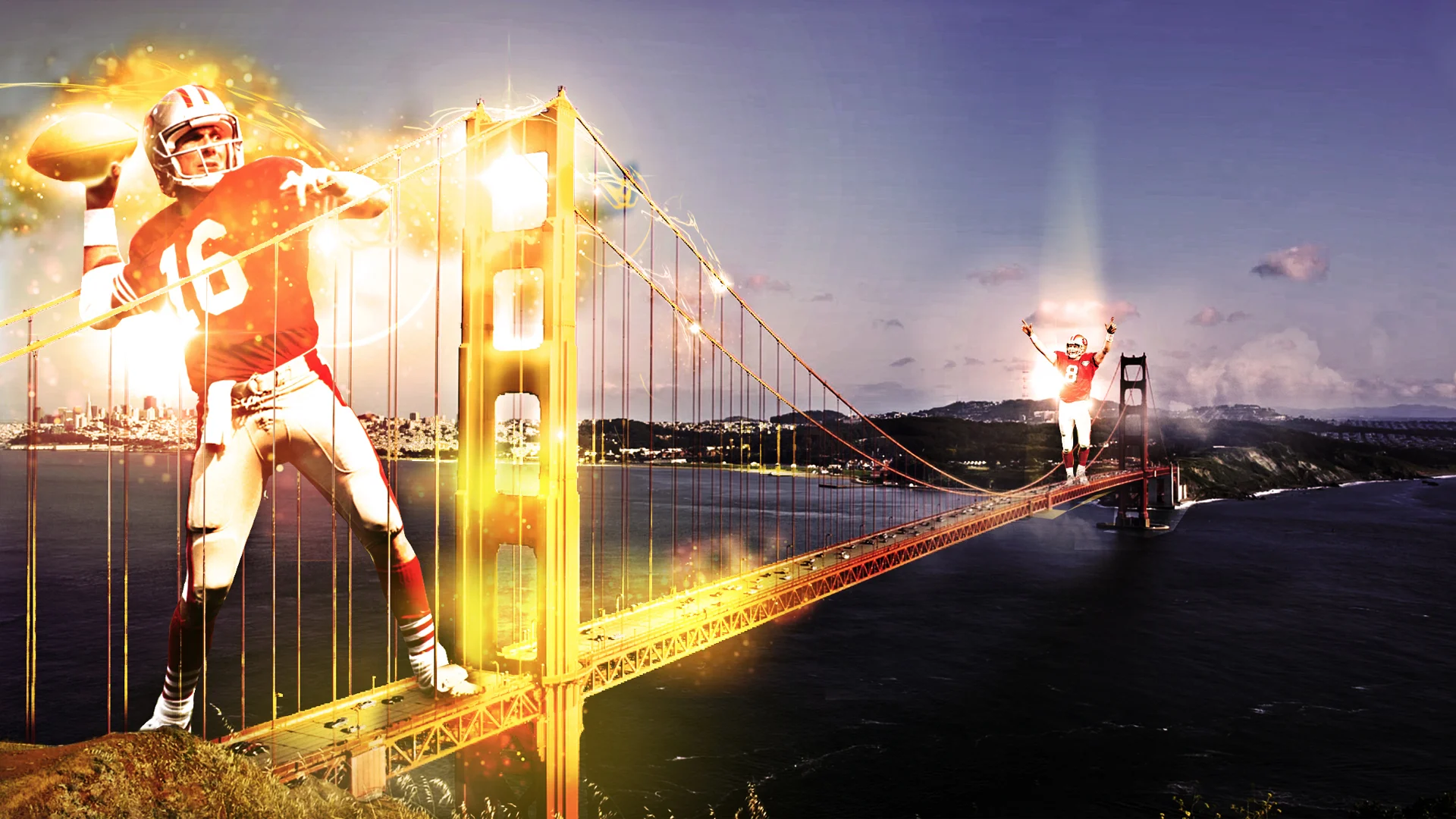  49ers Museum | Concepts