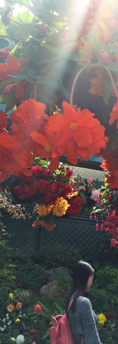 Flora