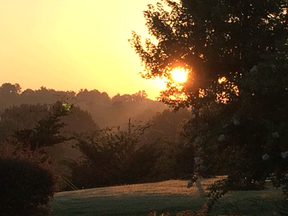 Sunrise