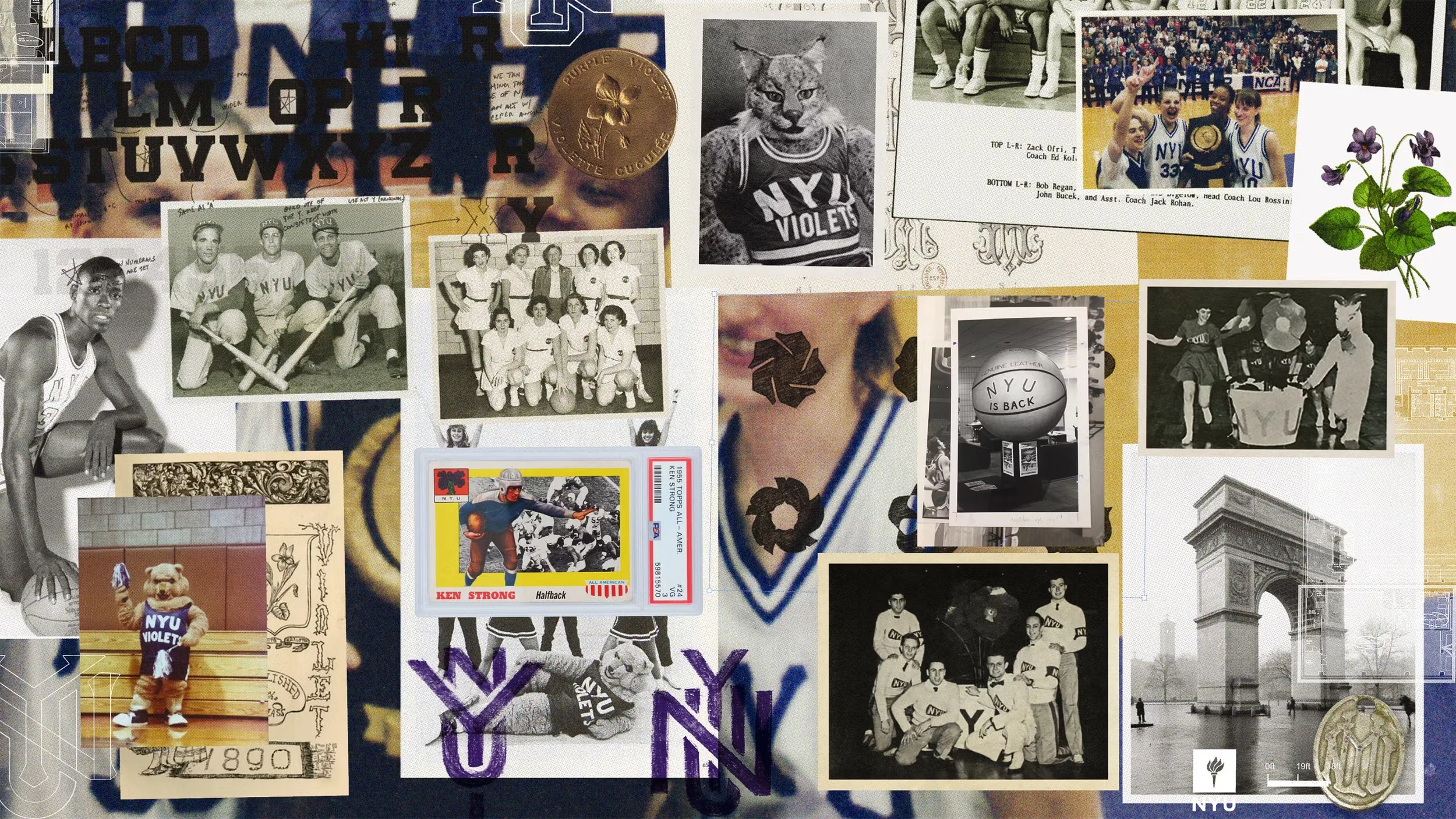 NYUHistory.jpeg