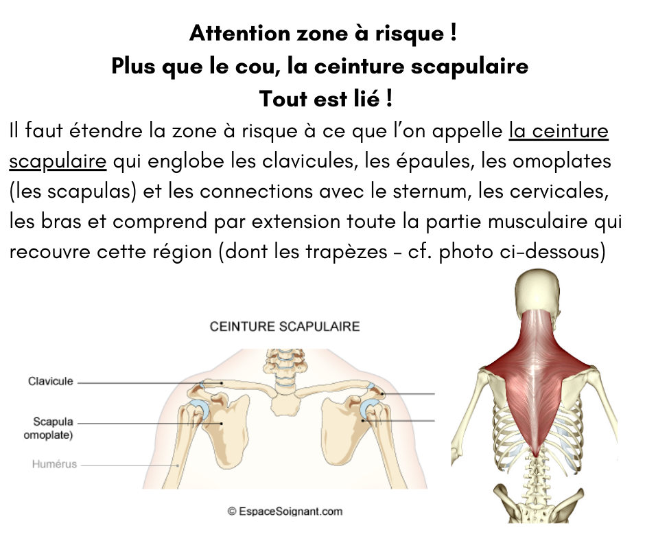 QI GONG : C'EST BON POUR LE COU ! — StudioTAO