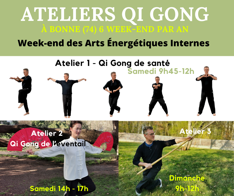 Week-end des Arts Energétiques Internes - Qi Gong & Taichi (74)