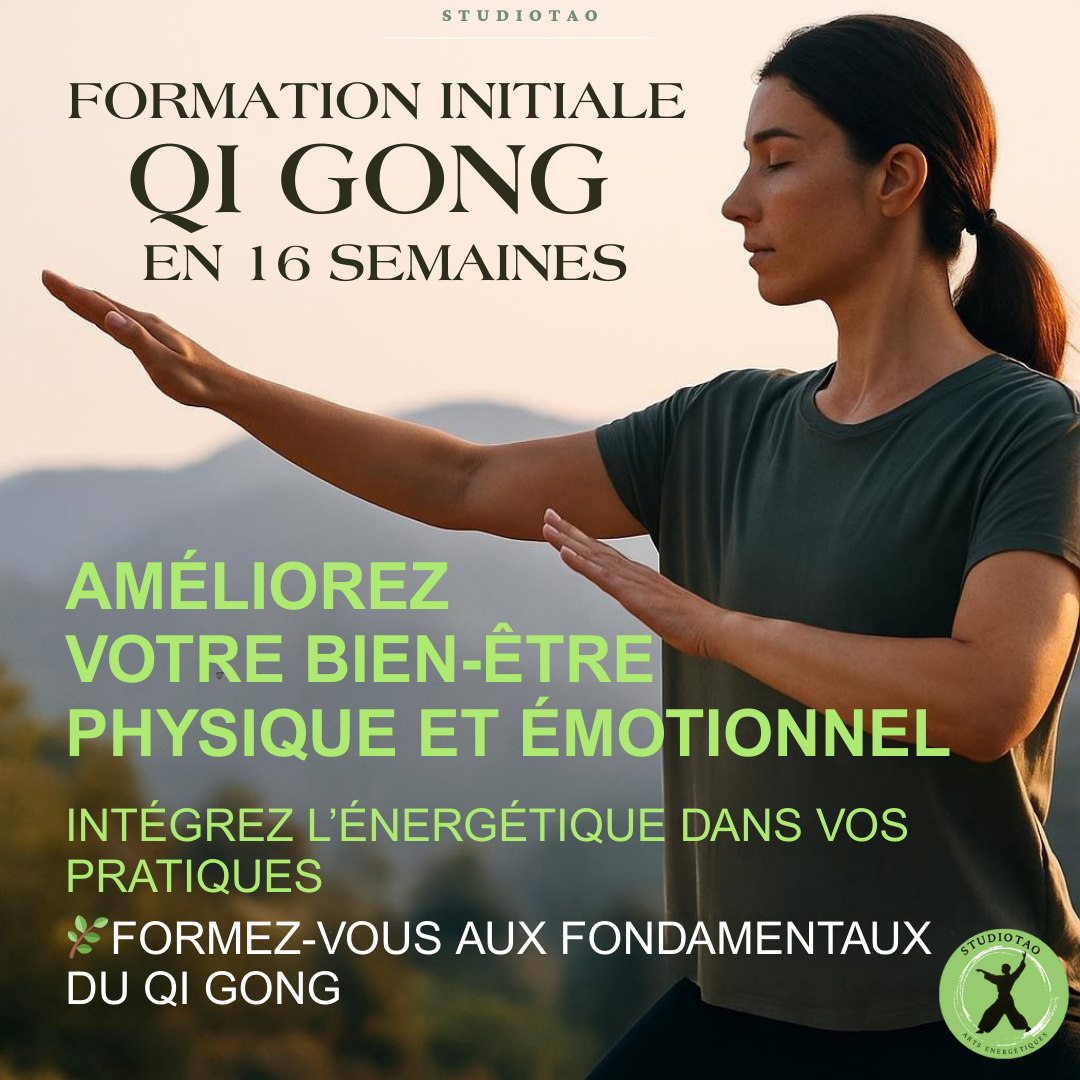 Pub Formation Qi Gong (1).png