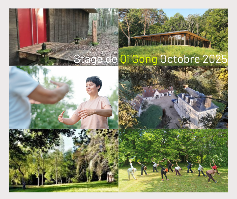 Stages et ateliers we (2).png
