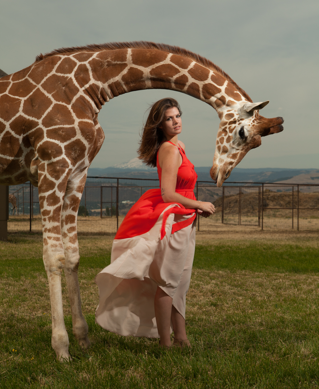 Stacey Rozich