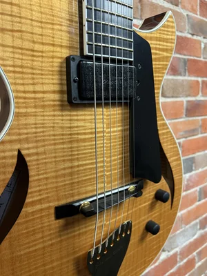 2005 Benedetto Howard Alden 7-String — Olde Town Pickin' Parlor