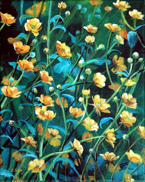 Buttercups