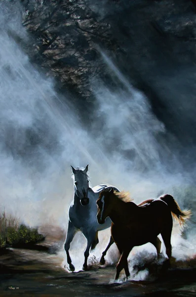 Light and Dust