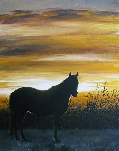 Sunset Silhouette