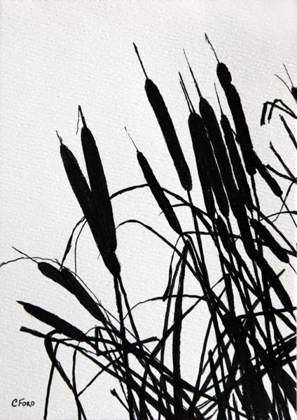 Cattails