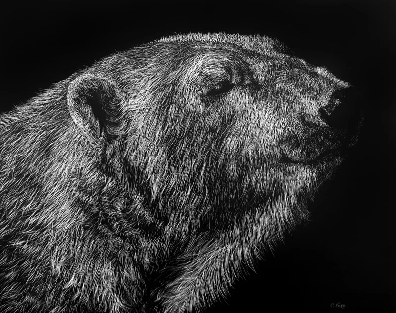 Polar Bear