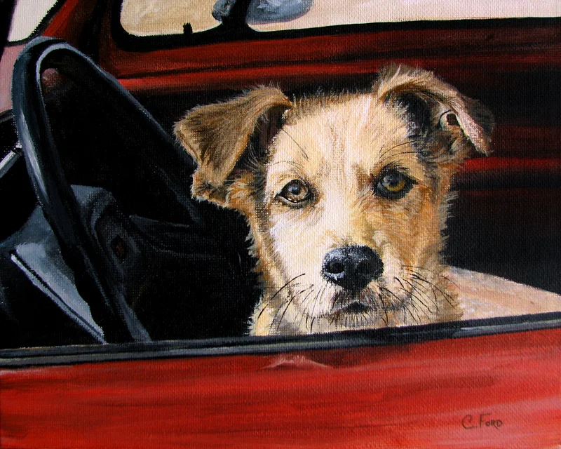 Waiting in the Car
