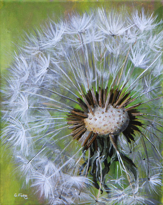 Dandelion