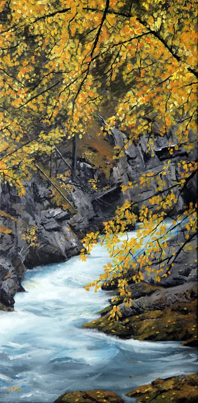 Maligne Canyon