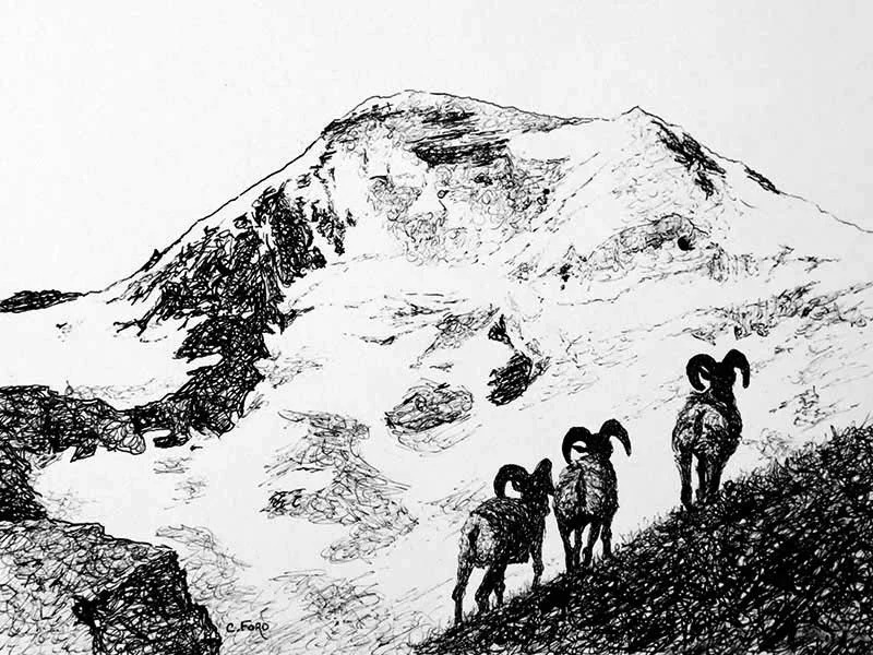 On the Mountain
