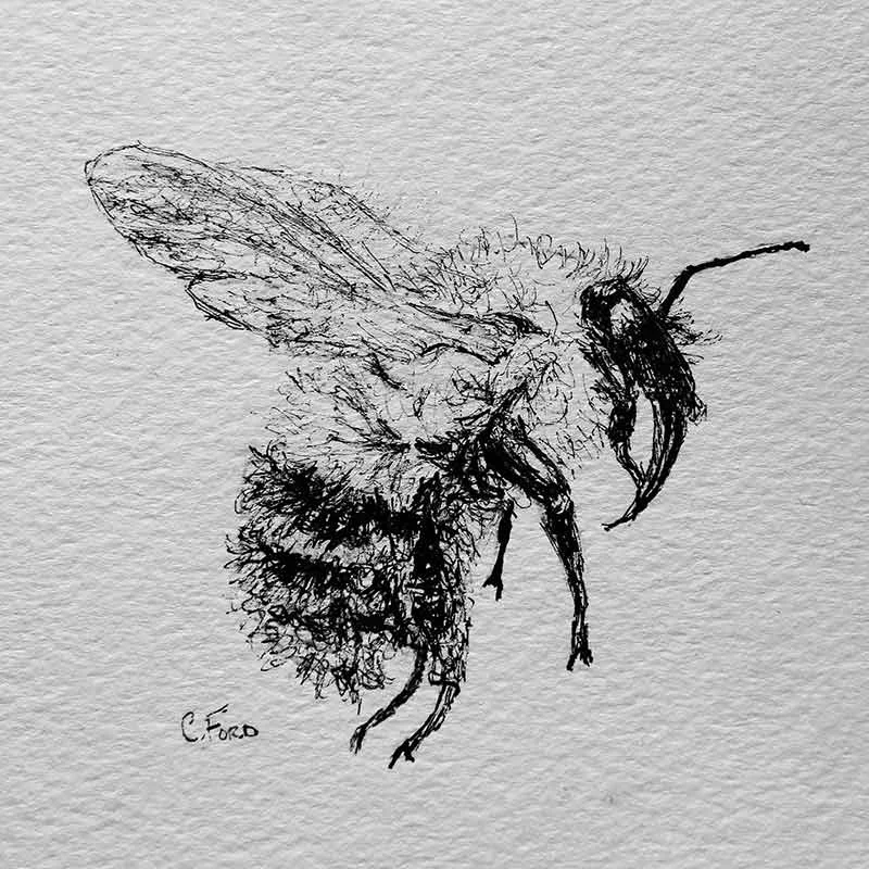 Bumblebee