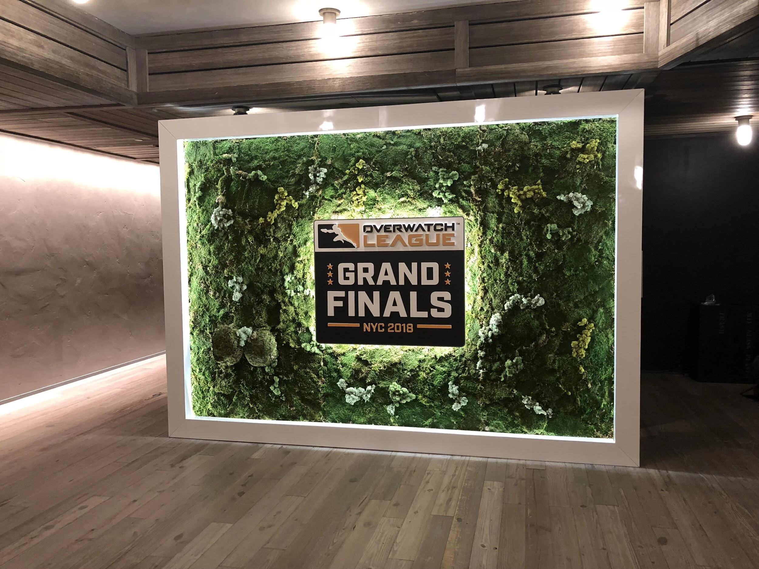 Overwatch Grand Finals Living Wall