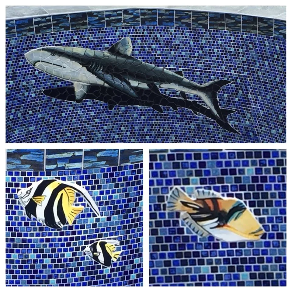 shark in pool.jpg