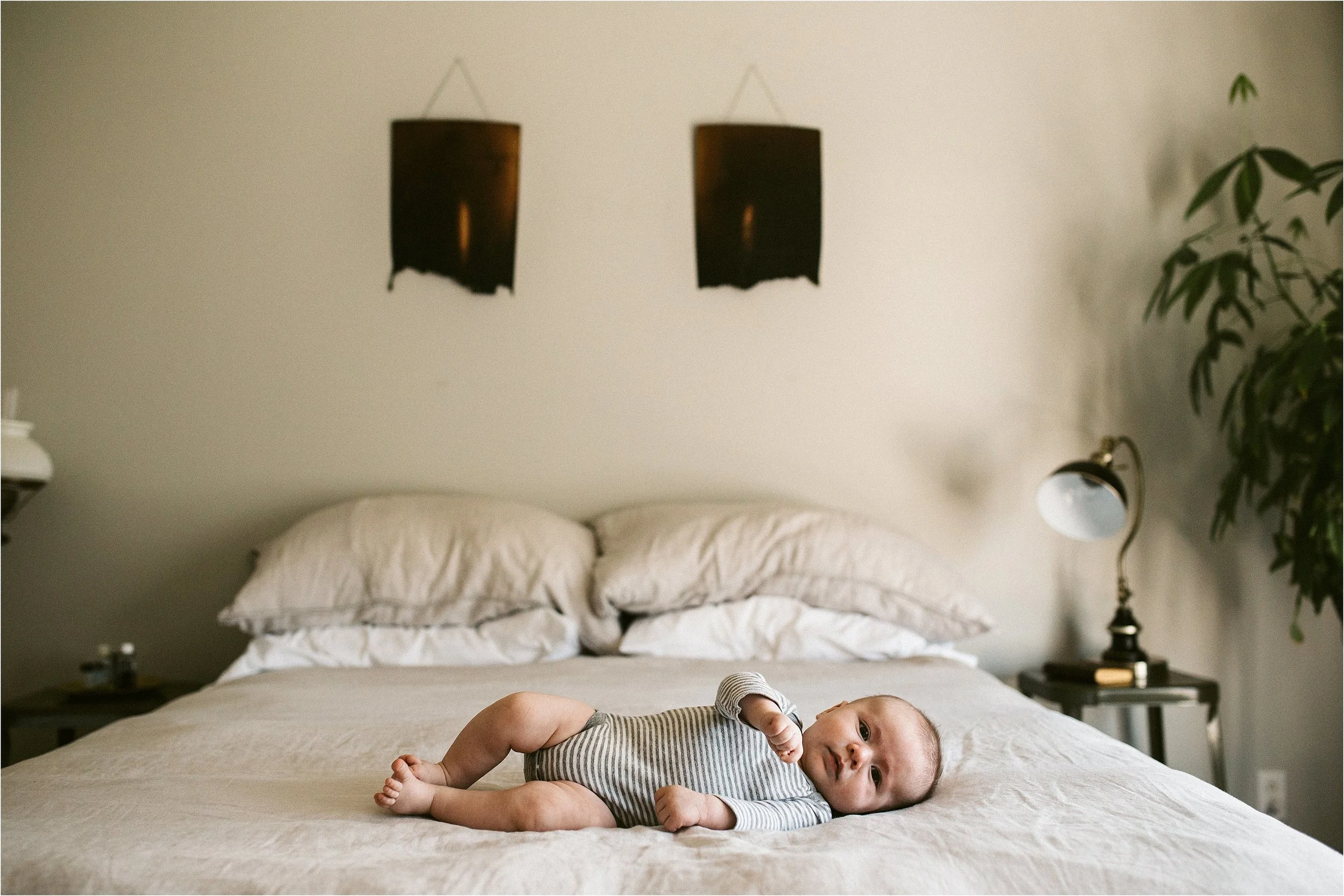 Ellis :: In-Home Session :: Lauren LaBarre Photography 