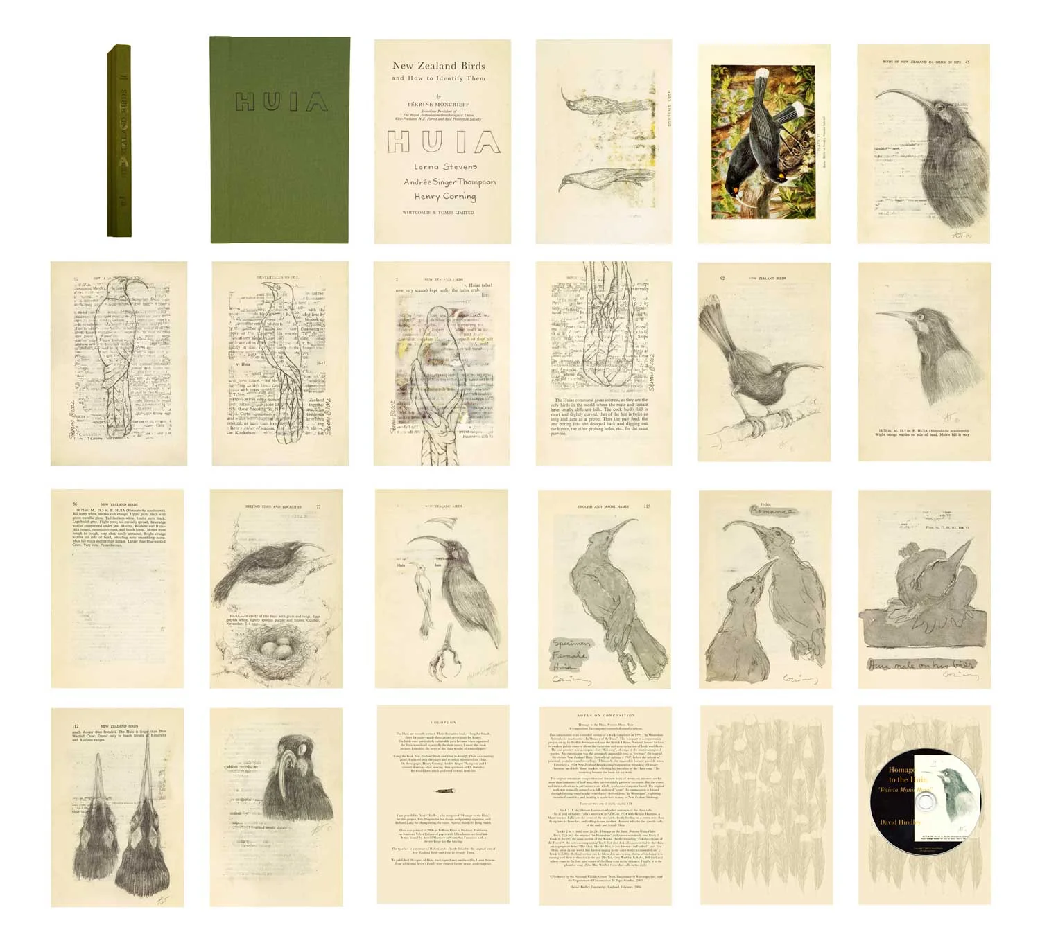 Huia, an altered book by Lorna Stevens with drawings of the extinct huia bird and an accompanying original sound recording by composer David Hindley.