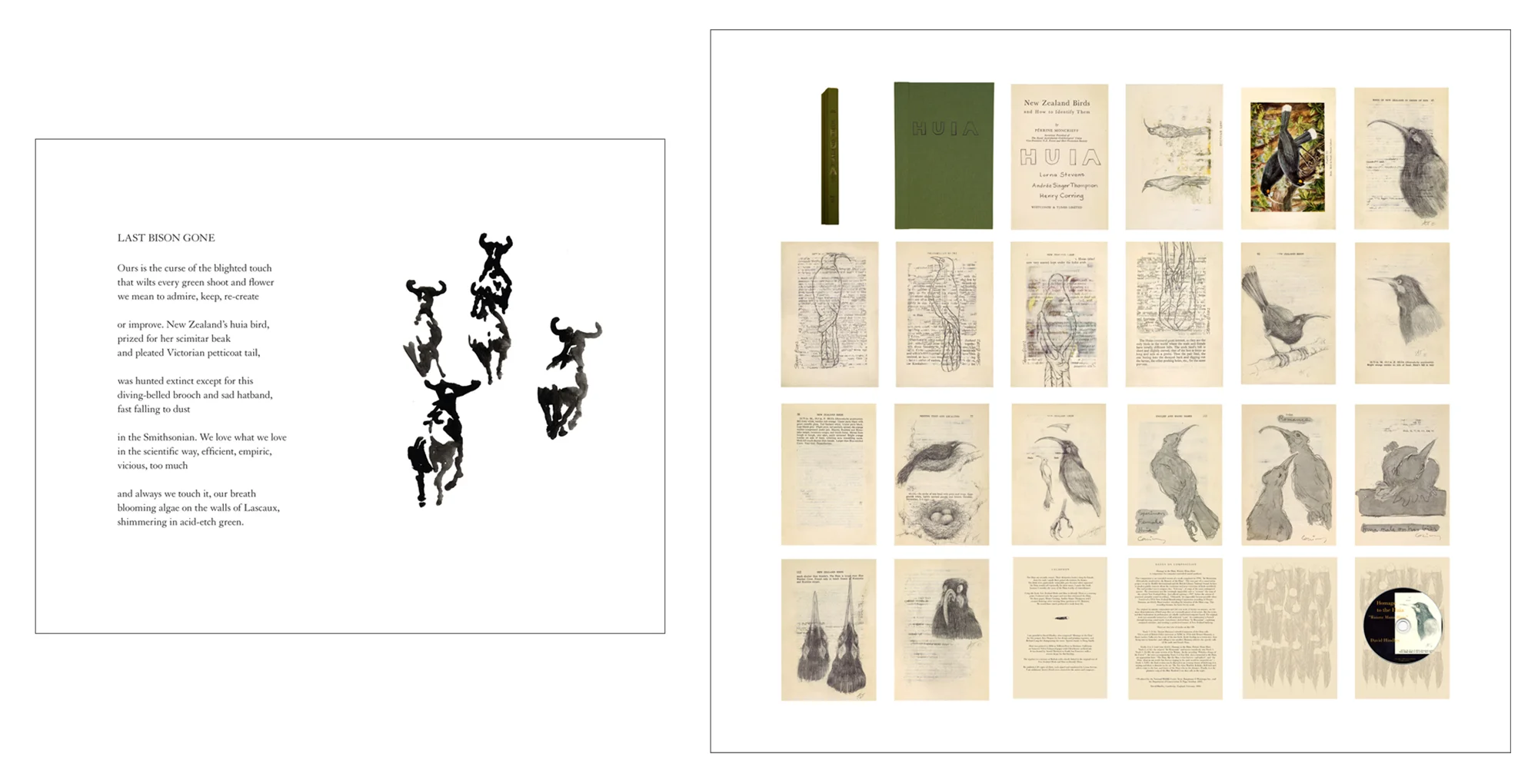 "Last Bison Gone" and "Herd" (2010, framed archival print, 13.5 x 16.5 x 1.5 inches) from God, Seed: Poetry and Art About the Natural World , a book collaboration with poet Rebecca Foust published by Tebot Bach. Huia (2006, altered book, 9.25 x 6.25 x .75 inches) alters a 1925 edition of "New Zealand Birds and How to Identify Them" to include drawings of this extinct New Zealand bird by Henry Corning, Andrée Singer Thompson and Lorna Stevens.