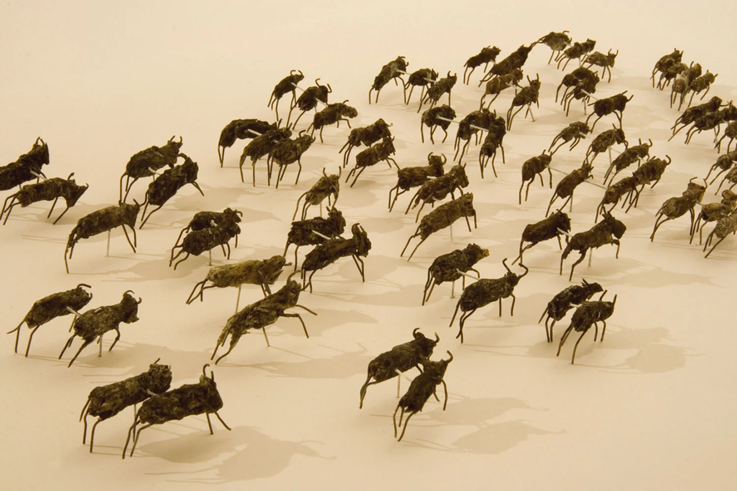 Herd (gut) , 2007, Wishbones, gut, pins, paint, 18 x 13 x 1.5 inches