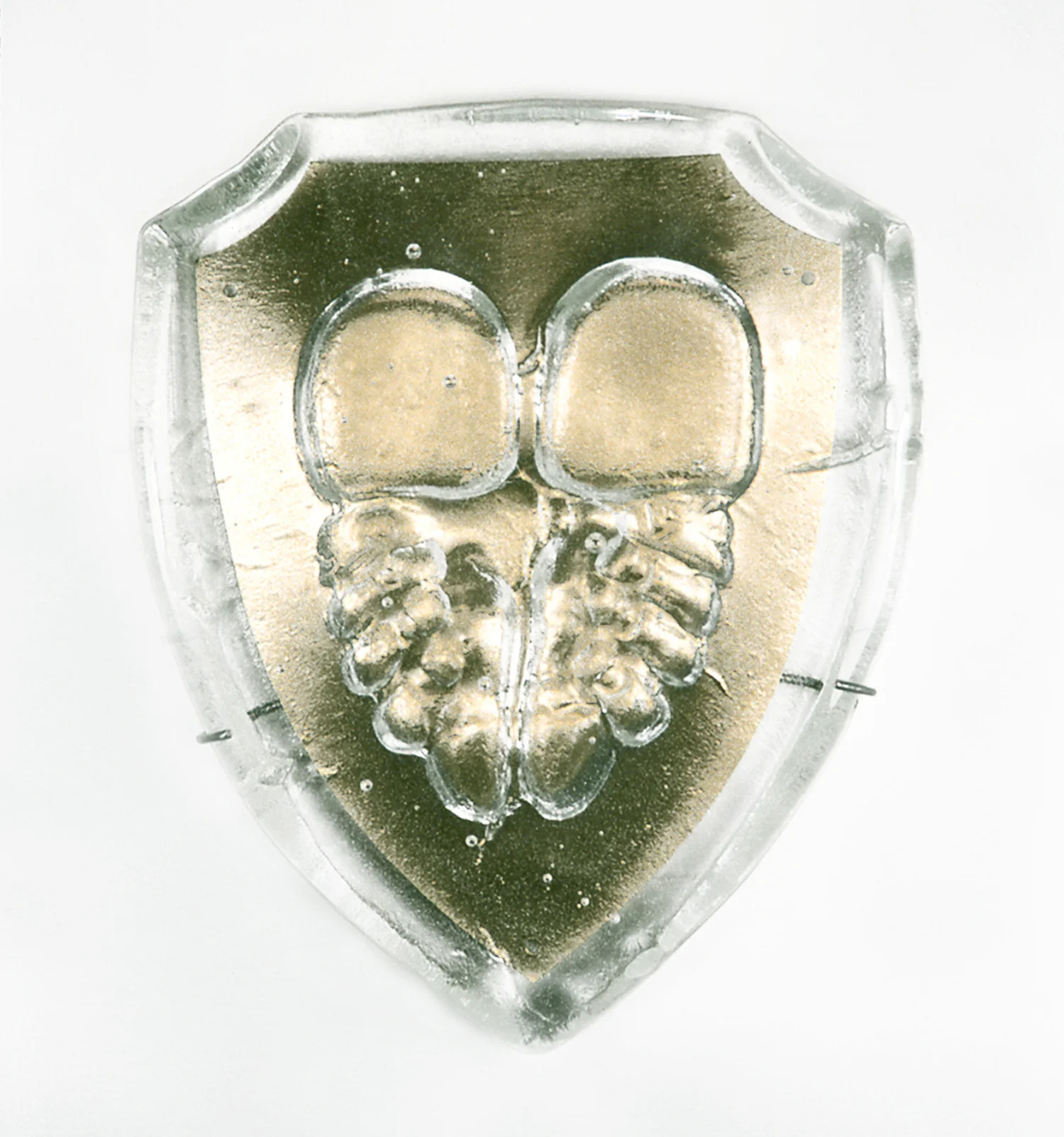 Trophy , 2005, Sand cast glass with brass plaque and wire, 8 x 6.5 x 1.5 inches