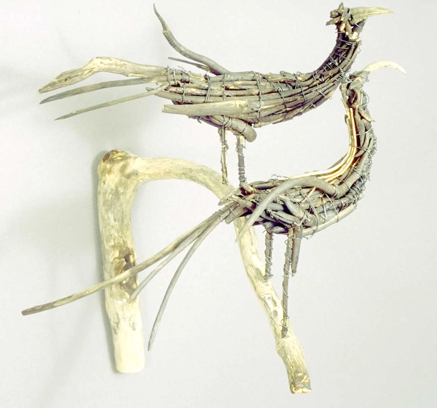 Huia , Charred sticks and wire, 1999, 12 x 12 x 12 inches