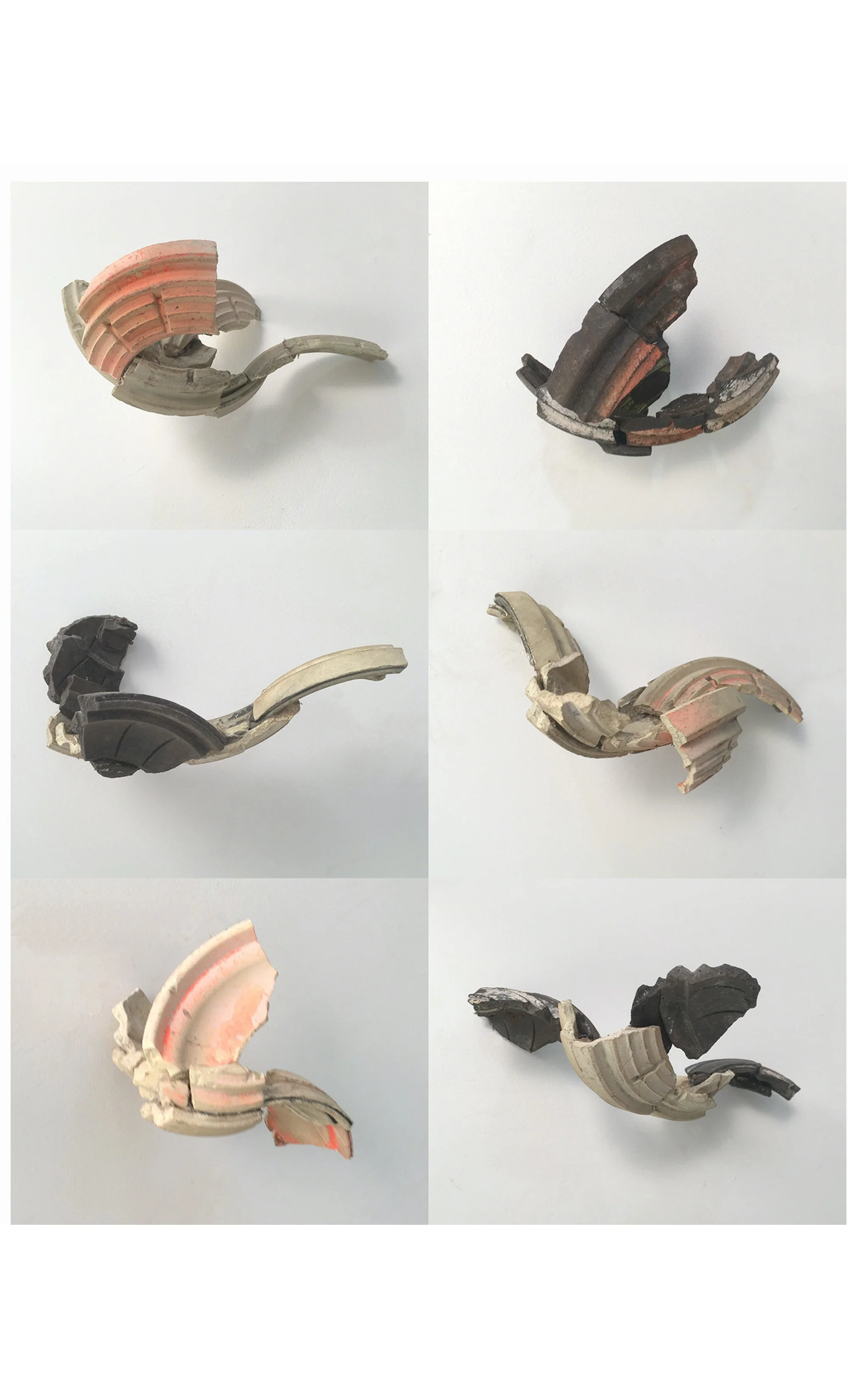 Thanks to WEAD for showing my Clay Pigeon Passenger Pigeons at Bioneers