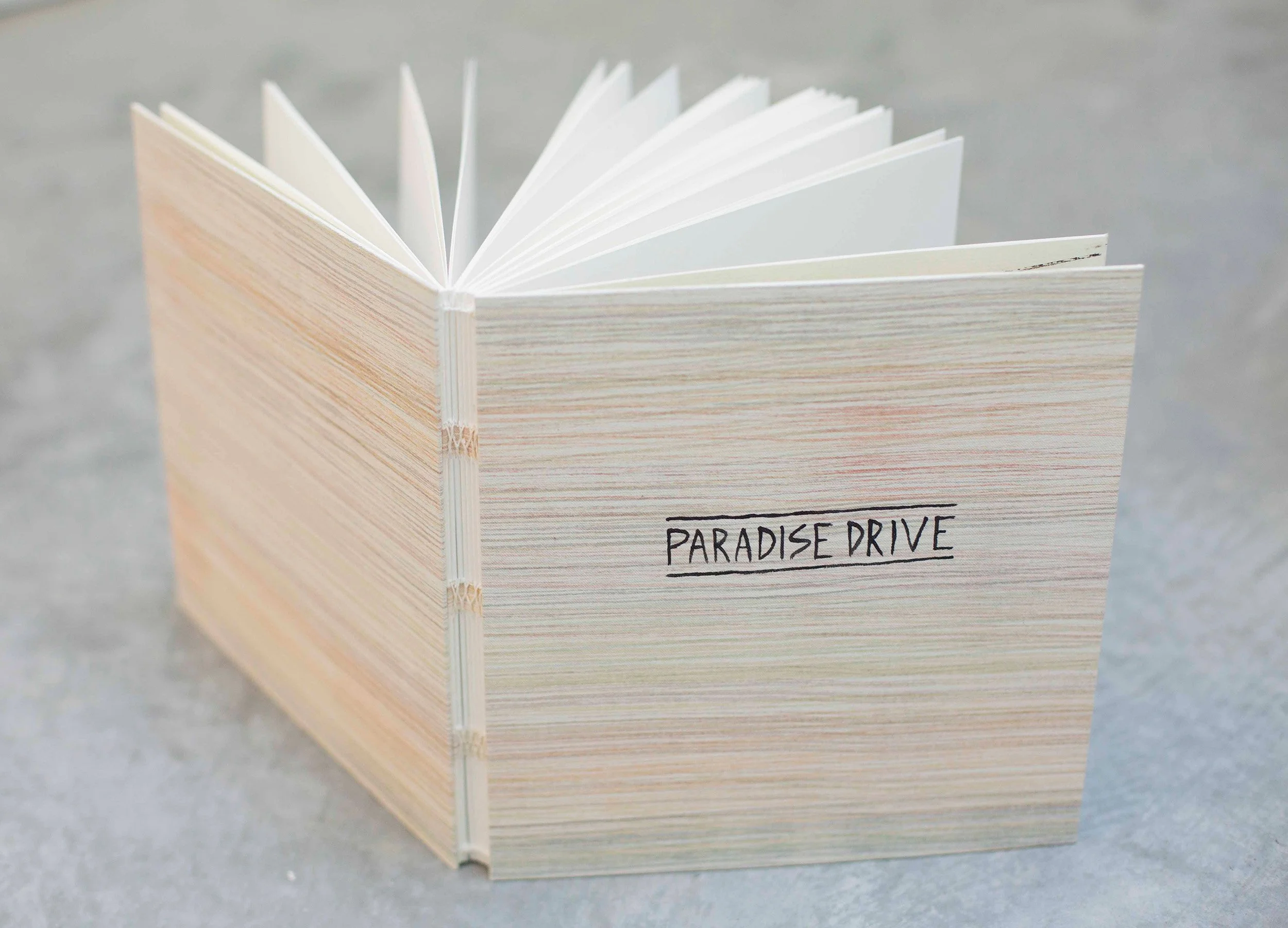 Paradise Drive ebook