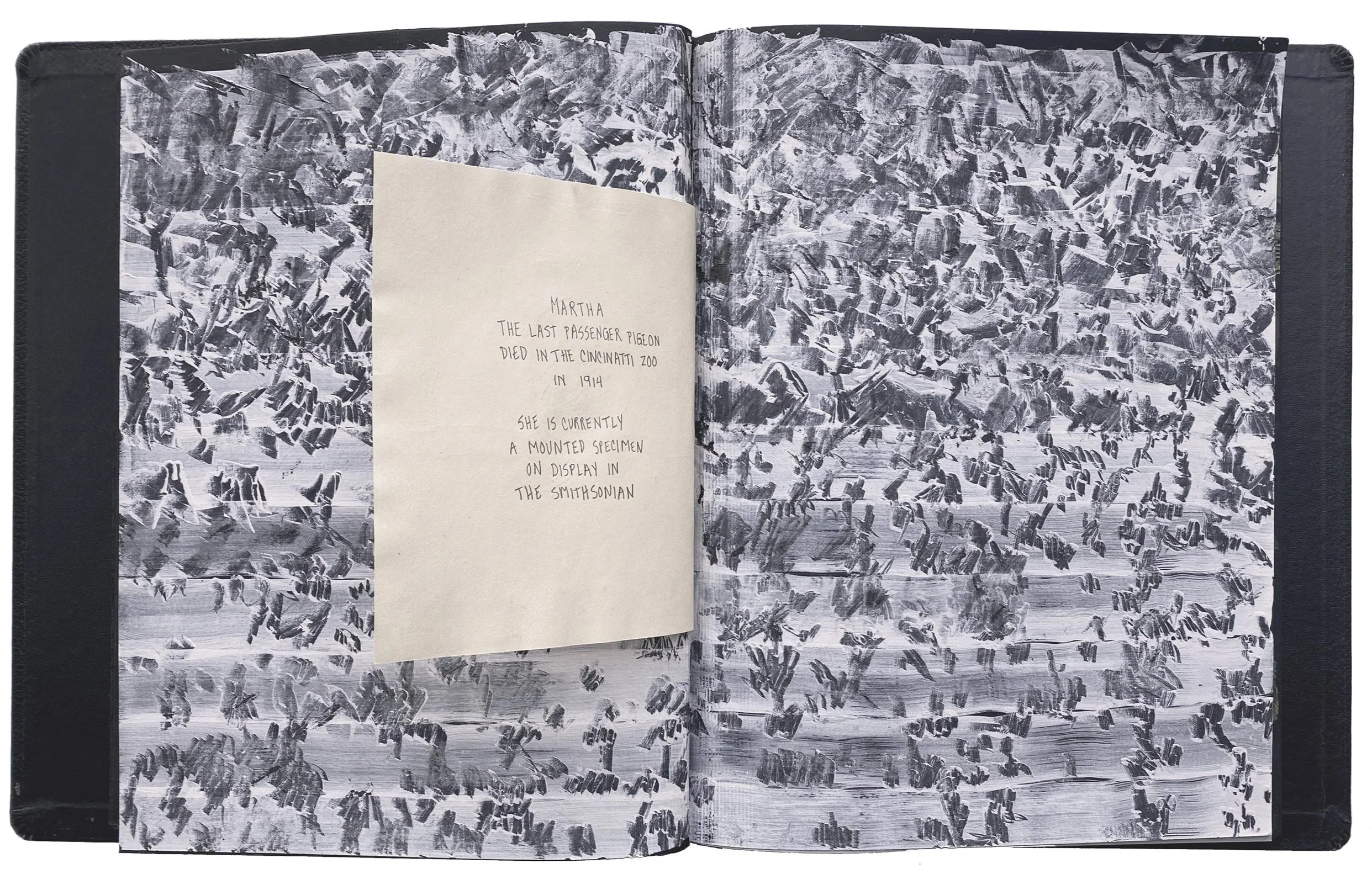 Passenger Pigeon Tempest, from the Scrapbook of Endangered and Extinct Birds, a double-page entry filled with dense black-and-white marks evoking flocks of passenger pigeons, with an insert honoring Martha, the last passenger pigeon.