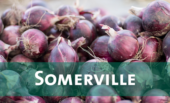 Somerville.png