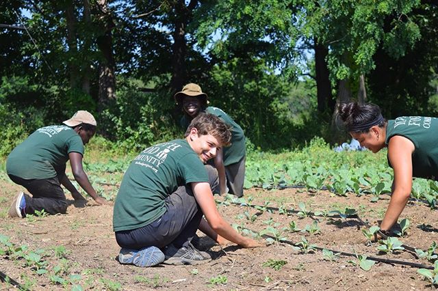 Know any 14-17 year-olds looking to have an unforgettable summer experience? Encourage them to apply to The Food Project's Seed Crew! Seed Crew is an opportunity to make friends, get paid, learn about food and social justice, and have fun. For more information and to apply, visit link in bio.
