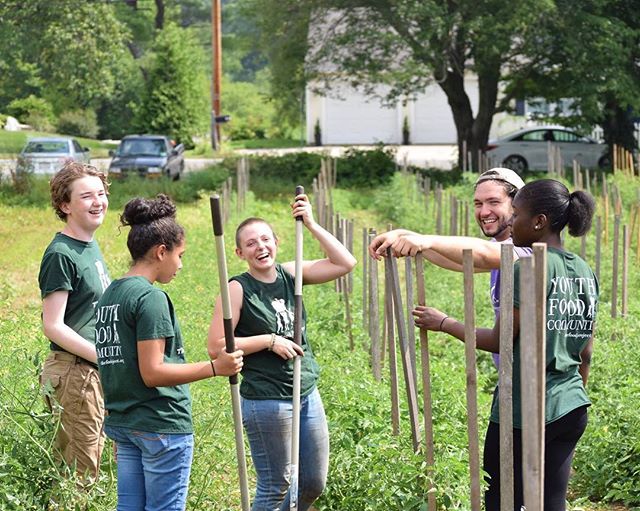 The countdown begins, Seed Crew applications are due a week from tomorrow! If you know any 14-17 year-olds looking to make friends, get paid, make a difference in their communities, and have an unforgettable summer, encourage them to apply today via link in bio. Please share!