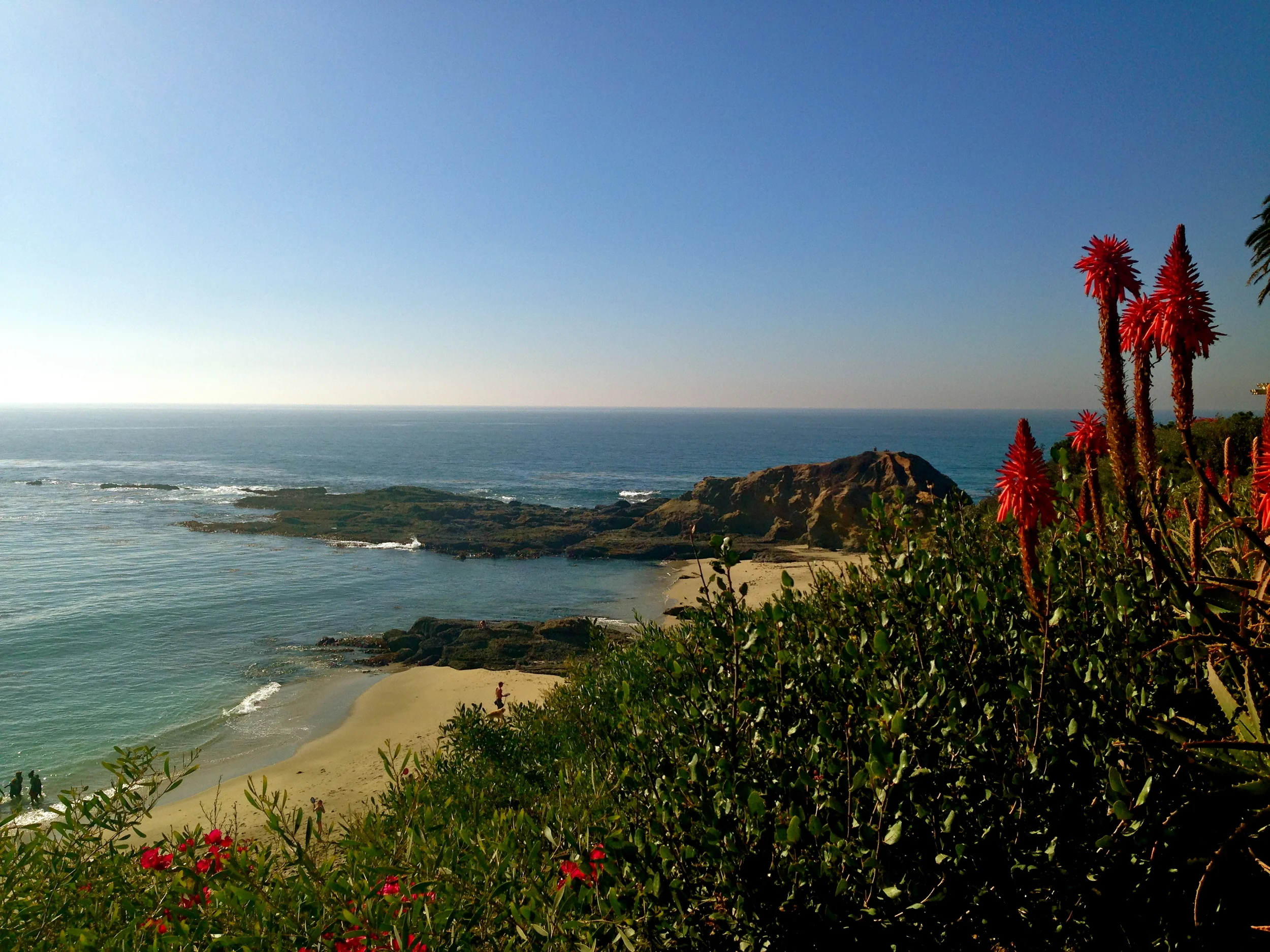 Treasure Island // Laguna Beach, California.