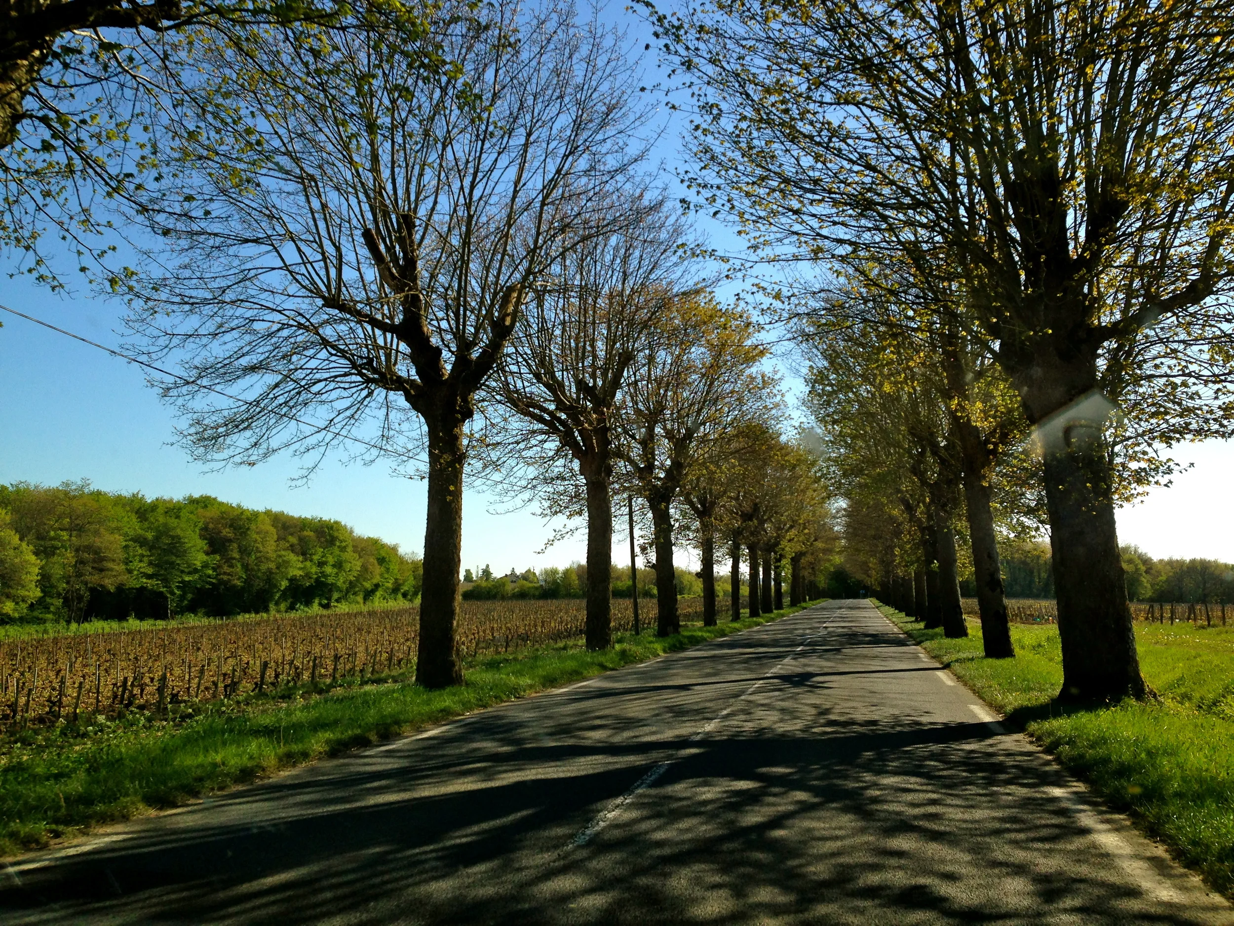Sancerre, France. 