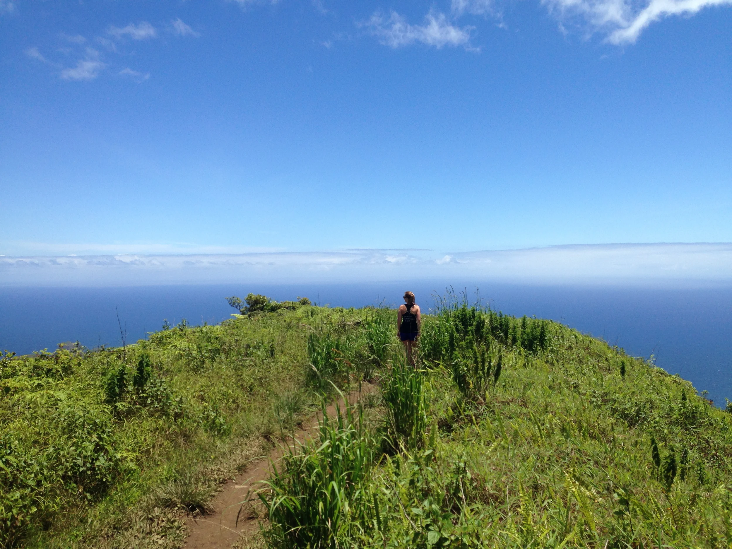 Waihee Ridge Trail // Maui, Hawaii. Photo by: Dane Smith