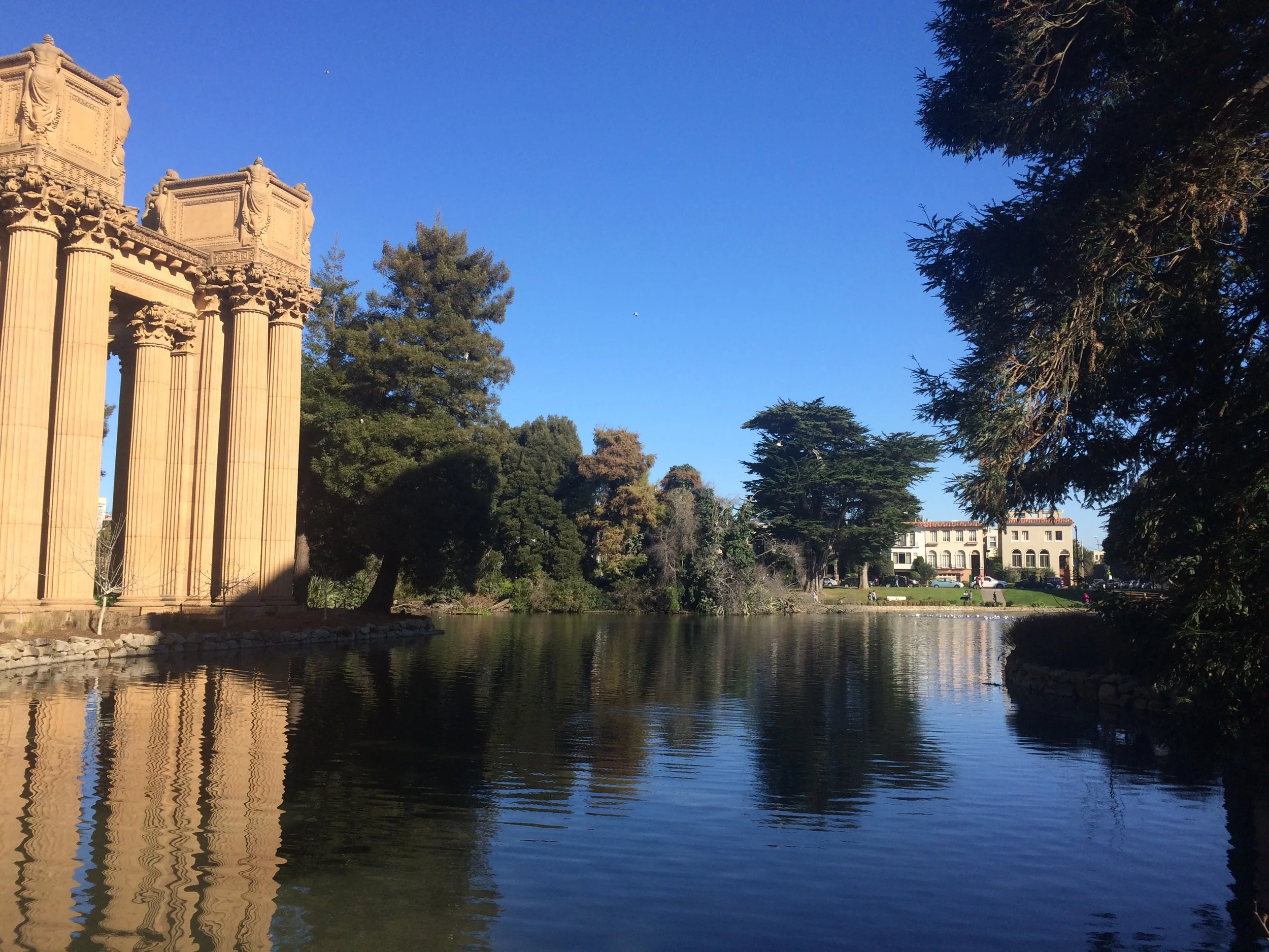 Palace of Fine Arts // San Francisco, California 