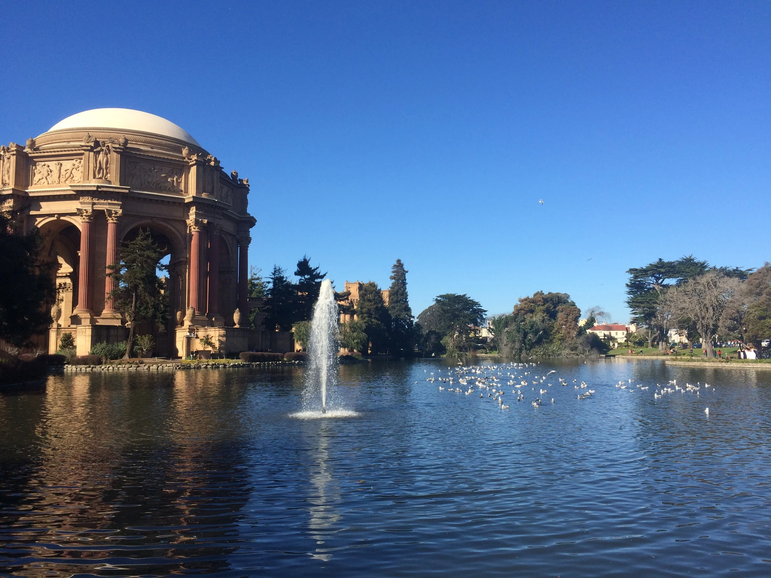 Palace of Fine Arts // San Francisco, California 